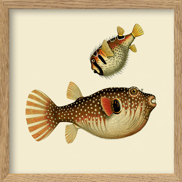 Two Fishes. Mini Print