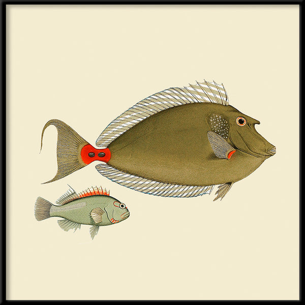 Two Green Fish. Mini Print