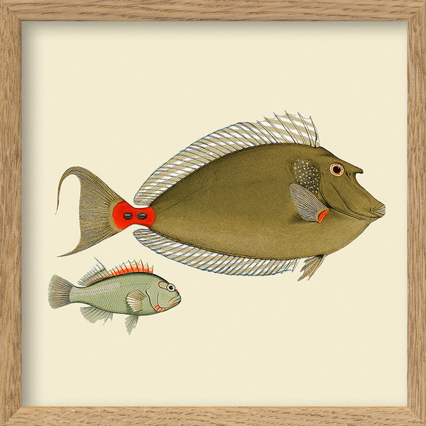 Two Green Fish. Mini Print