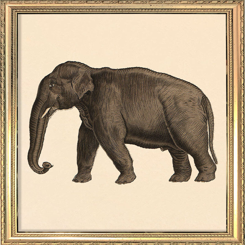 Elephant. Mini Print