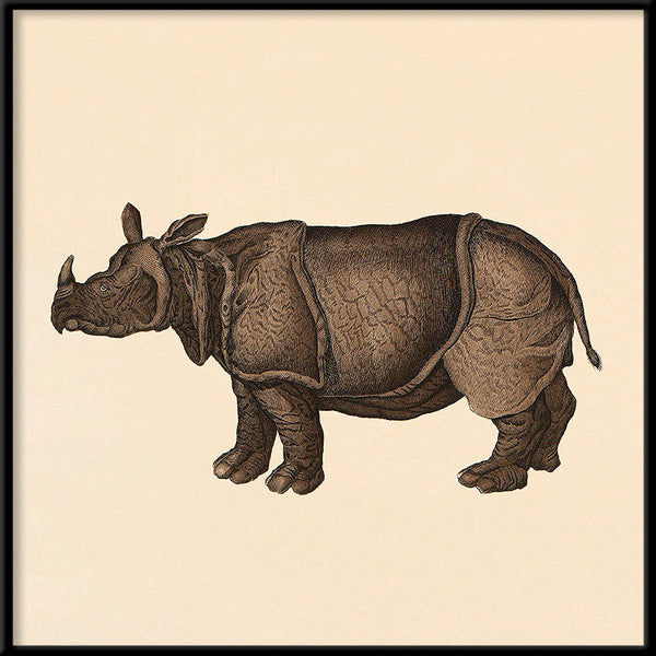 Rhino. Mini Print