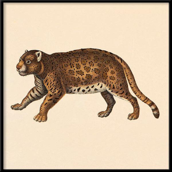 Leopard. Mini Print