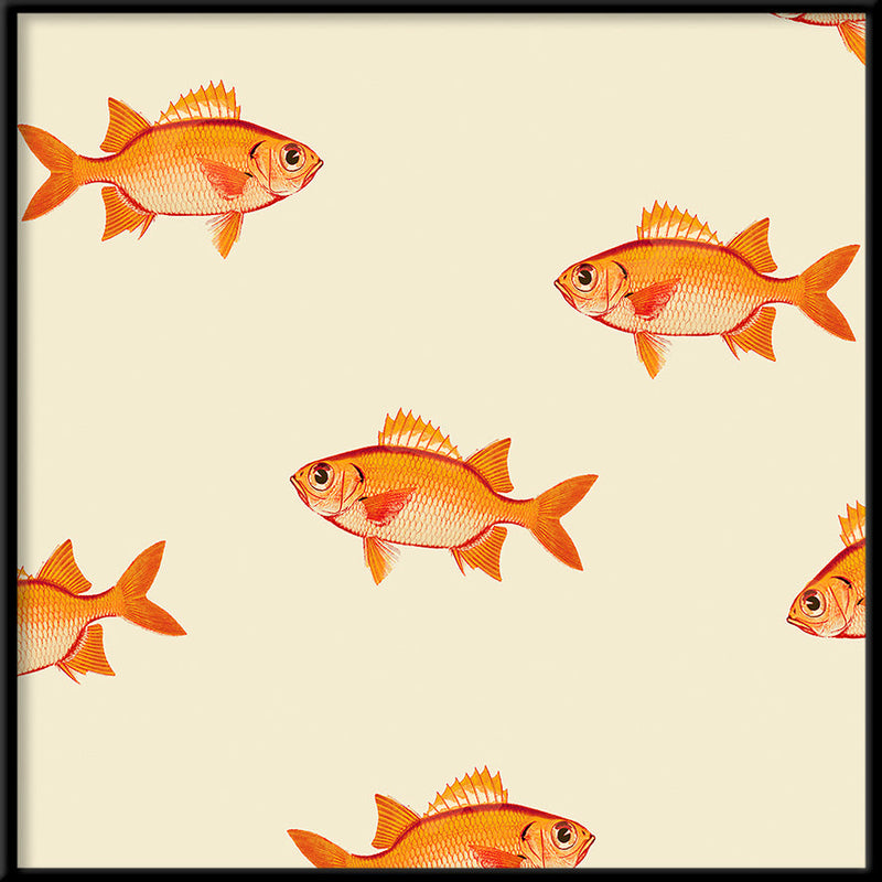 Small orange fish. Mini Print