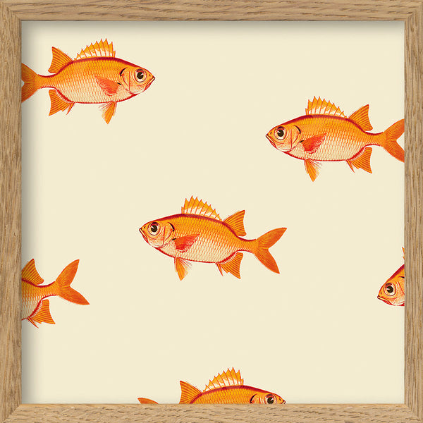 Small orange fish. Mini Print