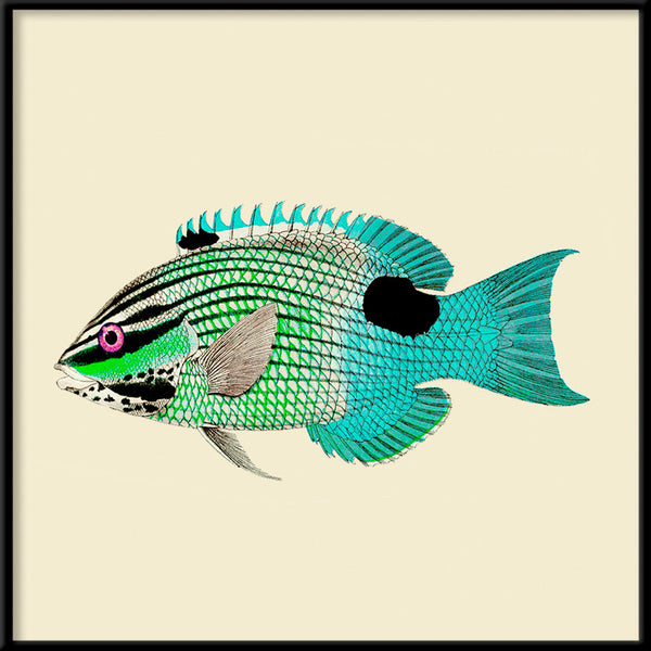 Turquoise and neon green fish. Mini Print