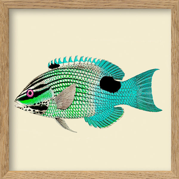 Turquoise and neon green fish. Mini Print