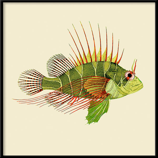 Green and red fish. Mini Print