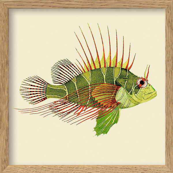 Green and red fish. Mini Print