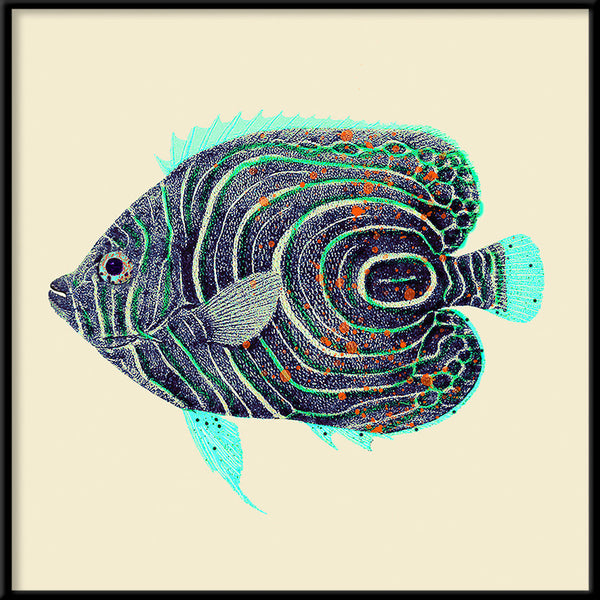 Blue and turquoise fish. Mini Print