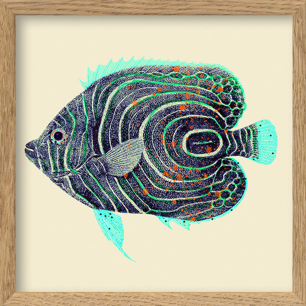 Blue and turquoise fish. Mini Print