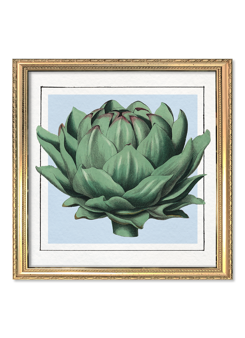 Artichoke. Mini Print