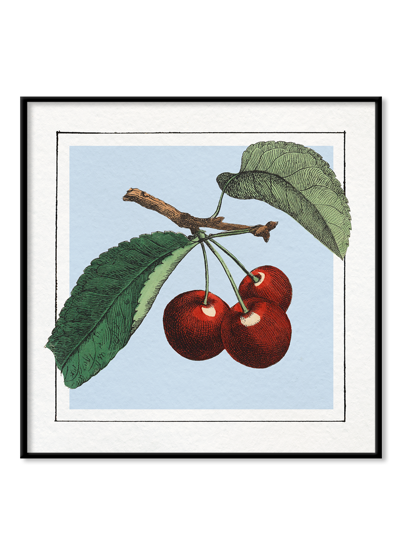 Cherries. Mini Print