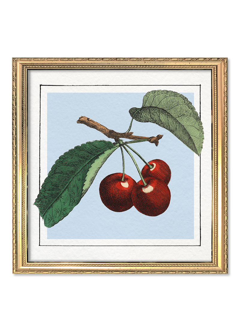 Cherries. Mini Print