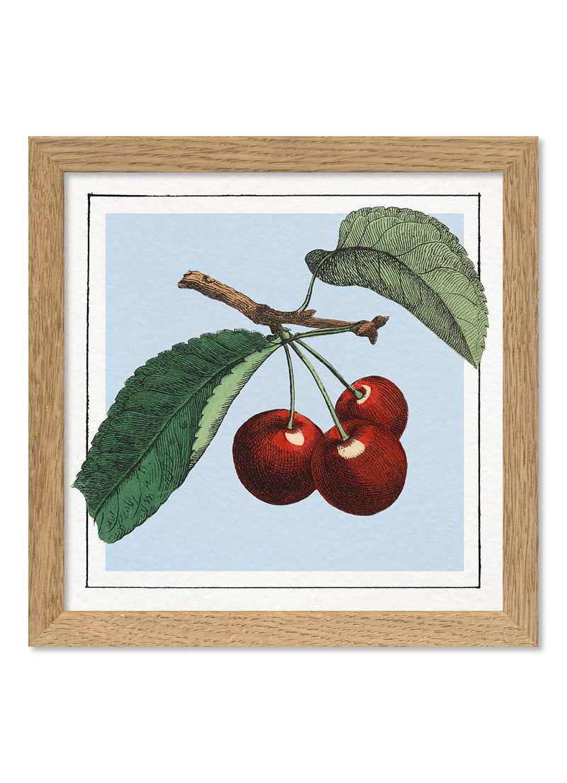 Cherries. Mini Print