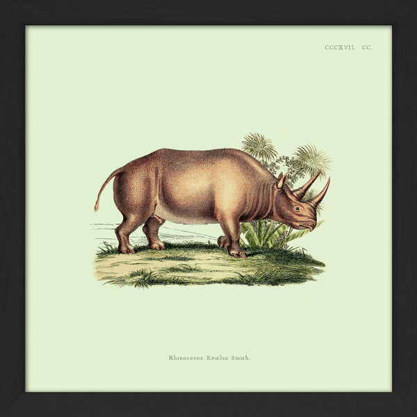 Rhinoceros. Mini Print