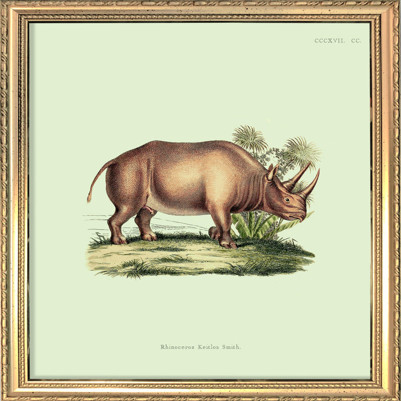Rhinoceros. Mini Print