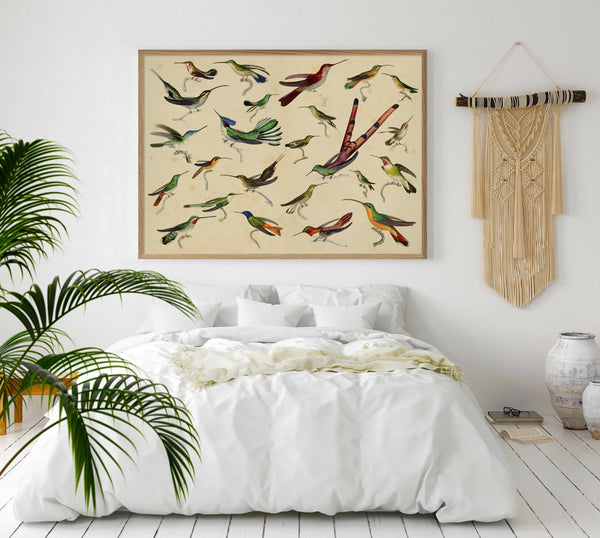 Hummingbirds