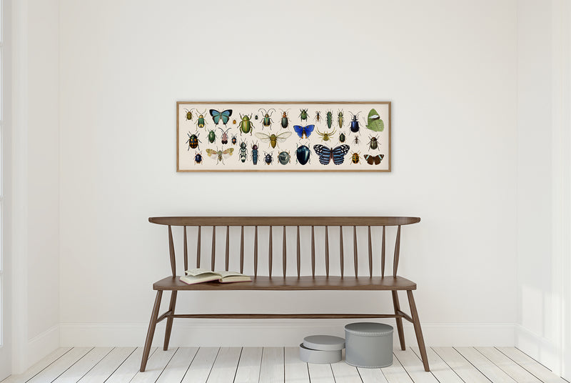 Butterflies and Beetles