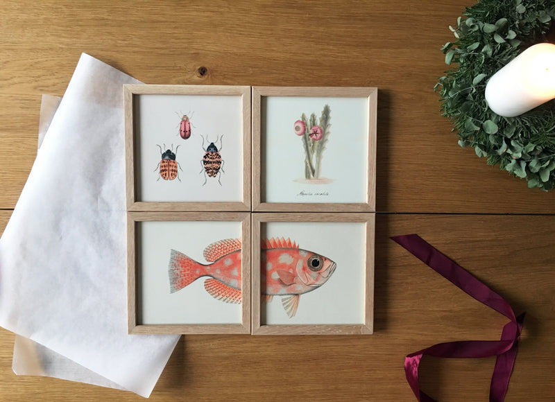 Set of four Mini Prints / Advent Gift